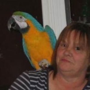 Meet your Posher, Joann